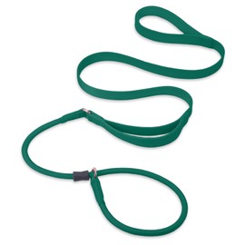 Slip Lead Dog Leash, Dog Training Leash with Double Handle, Soft Leather Nylon Slip Leash and Collar, Heavy Duty Rope Dog Lead, No Pull Walking Leash for Small Medium Large Puppy Dogs 6ft Dark Green