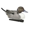 Avian-X Top Flight Pintail Decoys 6 Pack, One Size, (8082)