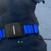 PIAOLGYI Mount for Fi Smart Dog Collar,GPS Tracker Dog Collar