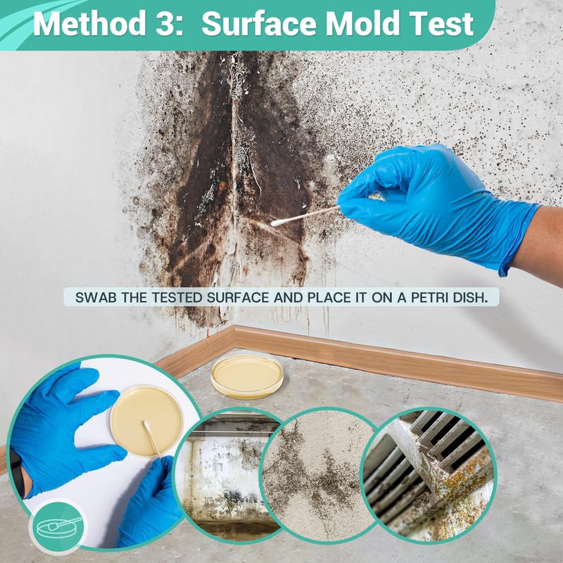 Mold Test Kit for Home Detection: 8 Simple DIY Science