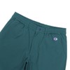 Champion C3-ZG504 Men's Golf Shorts Stretch Script Logo Shorts, green