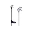 Unido Box Frog Solar Garden Stake Light LED Color-Changing, Set