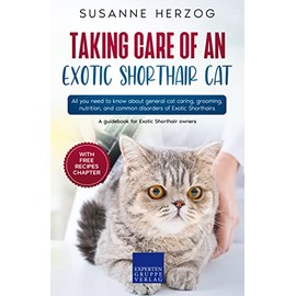  Taking care of an Exotic Shorthair Cat: All you need to know about general cat caring, grooming, nutrition, and common disorders of Exotic Shorthairs