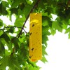 Pic FSTIK-2 Fly Traps, yellow