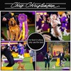 Chris Christensen Happy Eyes Tearless Shampoo for Pets