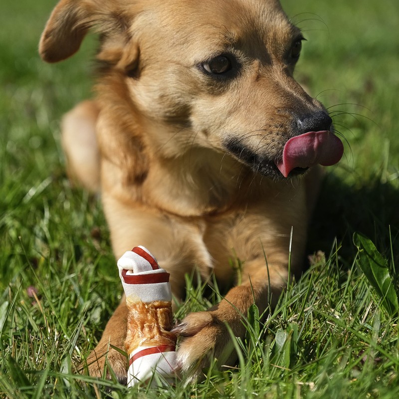8in1 Triple Flavour Bone S - Delizioso osso per cani