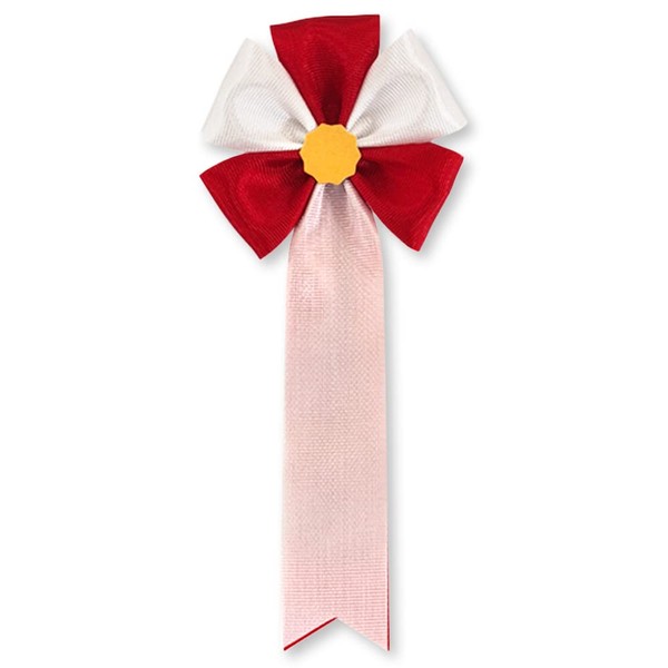 Insignia Ribbon Five Way Red Ceremony Chest Party Event Set
