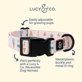 Lucy & Co. A Lotto Gelato Adjustable Dog Collar- Cute Designer Pet Collar for Small, Medium, Large Dogs- Buckle Closure Dog Accessories, Small, Pink & Colorful Gelato Cones