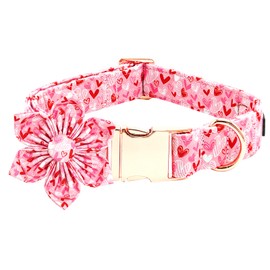Bobo Rainbow Valentine's Dog Collar with Flower-Cute Love Heart Dog Collar Adjustable Pet Collar Pink Comfortable Dog Collar Holiday Cotton Puppy Collar Metal Buckle Collar Gift for Medium Dogs