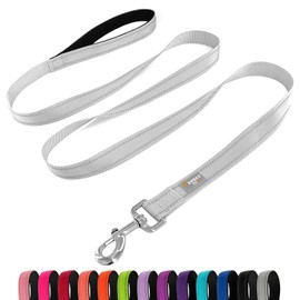 PenSeepet Dog Leash 6 FT Padded Handle Nylon Reflective Dogs Leashes for Large Dogs Silver