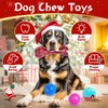 Zeaxuie 12 Pack Long-Lasting Heavy Various Dog Chew Toys Pack