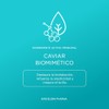 Shampoo matizador morado | Para canas y rubios | Extracto
