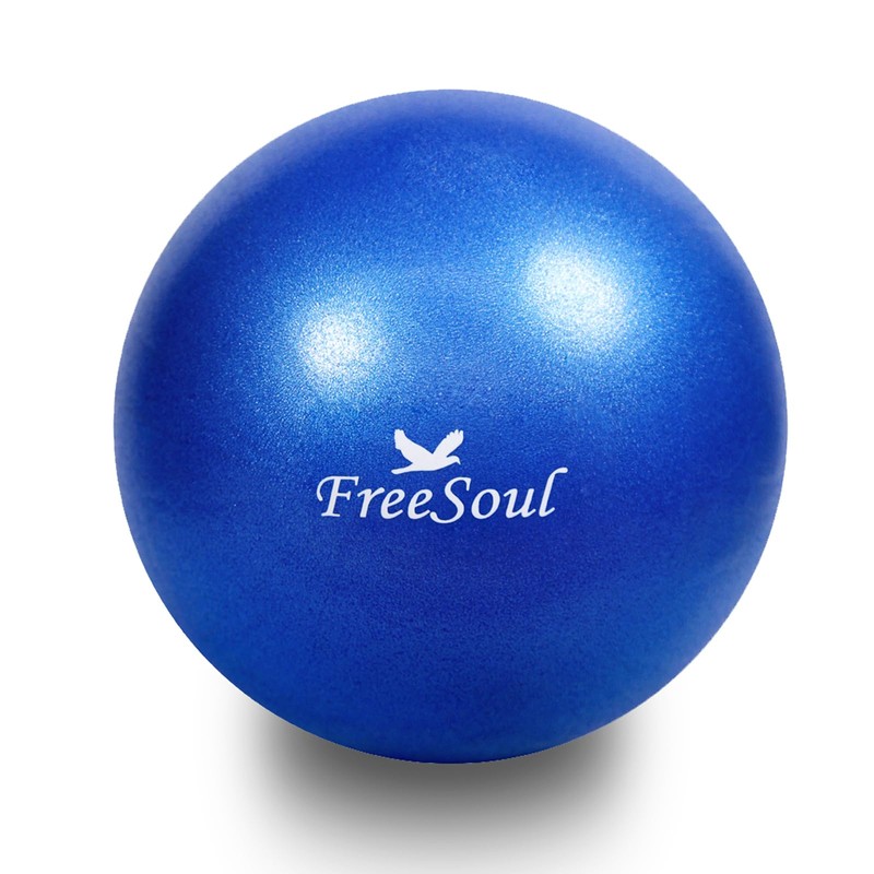 Small Pilates Ball with Pump 9 Inch Mini Bender Ball