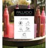 Palladio Palladio Lip Stain, Pinky