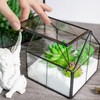 Ferrisland Glass Plant Terrarium Container Wardian Case Indoor Small Succulent