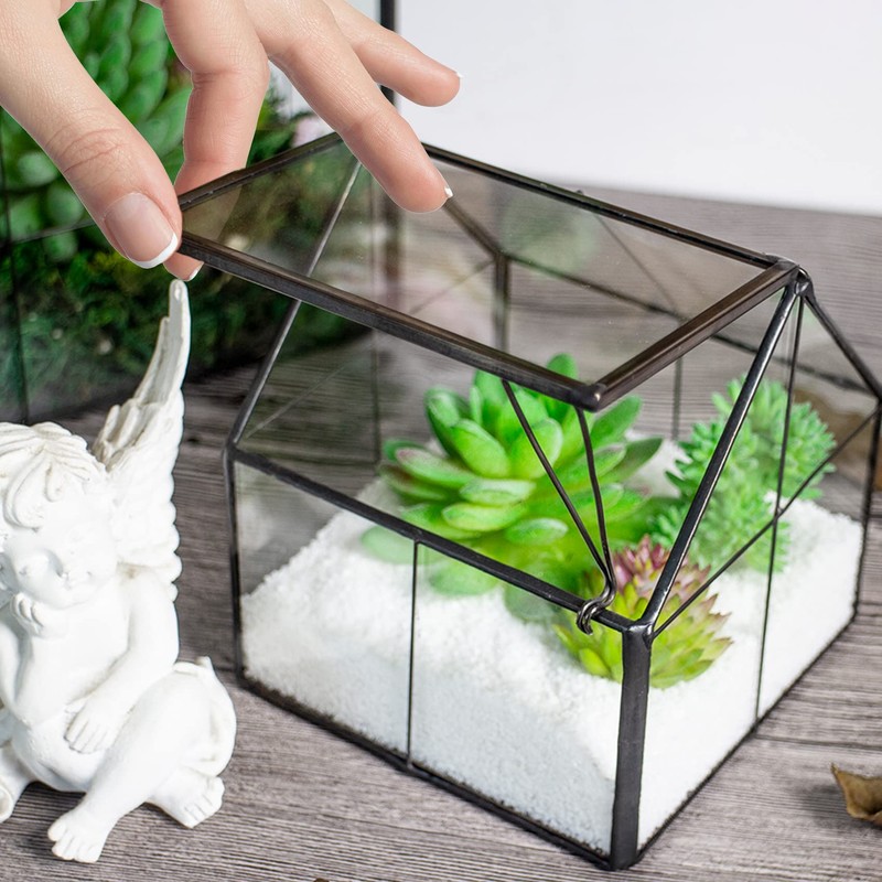 Ferrisland Glass Plant Terrarium Container Wardian Case Indoor Small Succulent
