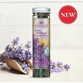NEW Scentsicles Sun Soaked Lavender Scented Sticks with 2 Scenter Stakes - 1 Bottle (6 Sticks Total)