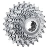 Miche Unisex's Primato 10 Speed Campagnolo Cassette, Silver, 12/29