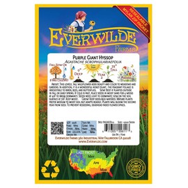 Everwilde Farms - 1 Oz Purple Giant Hyssop Native Wildflower Seeds - Gold Vault