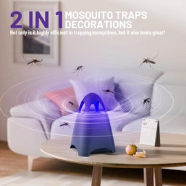 ZAPLITE Fruit Fly Traps for Indoors, Bug Zapper Indoor, Home Gnat Traps House, 5 Sticky Glue Boards, Effective gnat Traps for House Indoor (Black)