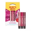 Burts Bees 버츠비 키스 가능한 컬러 웜 선물 세트 1EA