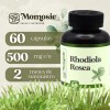 Rhodiola Rosea Premium Pura | Energía Y Ánimo | 60