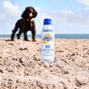 Coppertone SPORT Mineral Sunscreen Spray SPF 50, 5 OZ