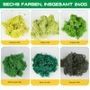 XIEJ Iceland Moss - Moss in 6 Different Colours, 240