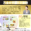 Cat Sticker Seal, Entrance Trouble Solving, Cat Sticker, 5.5 x