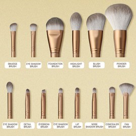 METREY Professional Makeup Brushes 14 Pcs with Holder, Foundation Eyeshadow Blush Concealer Powder Makeup Brush with Case Set (Gold)