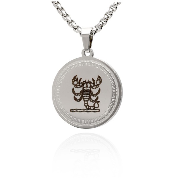 Women's Men's Necklace Stainless Steel with Zodiac Zodiac Zodiac Pendant
