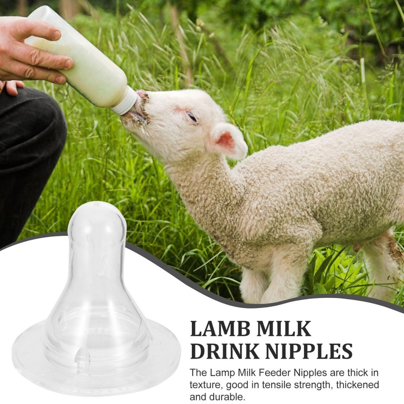 UKCOCO Lamb Feeding Nipples, 10-Pack Thickened Milk Bottle Teats Suitable