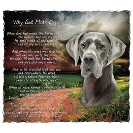 CafePress Why God Made Dogs Great Dane Throw Blanket Super Soft Fleece Plush Throw Blanket, 60"x50"
