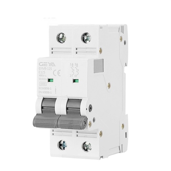 CUZRSIEYI GYM9-125 2Pole Mini Circuit Breaker DP MCB Ture Cureent