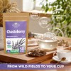 50 Bags Chaste Tree Berry Сhasteberry Tea Vitex Tea Herb
