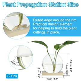 PATIKIL Plant Propagation Station Glass Vases, 2 Pack Desktop Round Planter Terrarium Vase with Wooden Stand for Hydroponic Office Home Decor Plants Indoor, Light Brown
