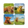 4 x Square Highland Cow Coasters - Animals Paint Effect
