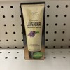 Taylor & Colledge Gourmet Lavender Extract Paste, 1.4 oz (40