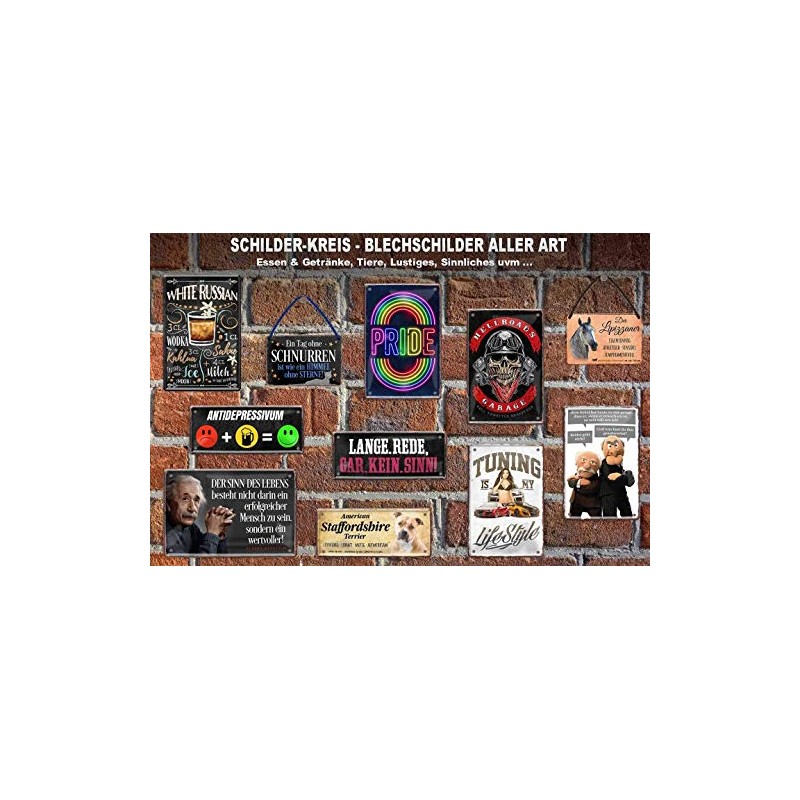 Blechschilder Decorative Metal Sign With Albert Einstein Quote, 20 x