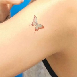 [SS62] Fashion butterfly tattoo, tattoo sticker, water tattoo / [에스에스62]패션 나비 문신 타투 판박이 스티커 물타투