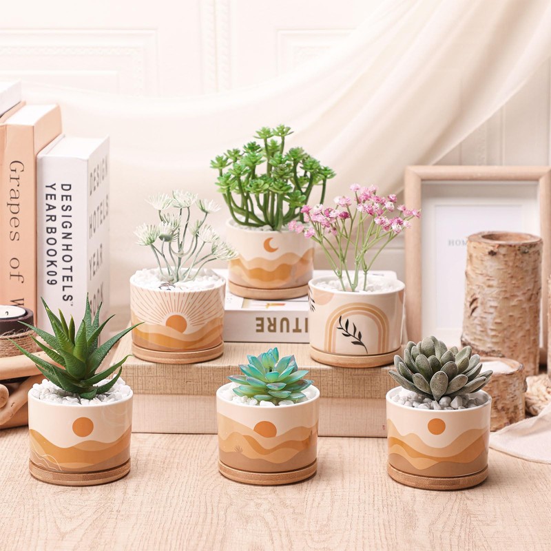 Qinyoung 6 Sets Boho Plant Pots Succulent Pot Modern Sun