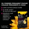Garnier Olia Permanent Hair Dye, Ammonia-Free Hair Color, 2.0 Soft