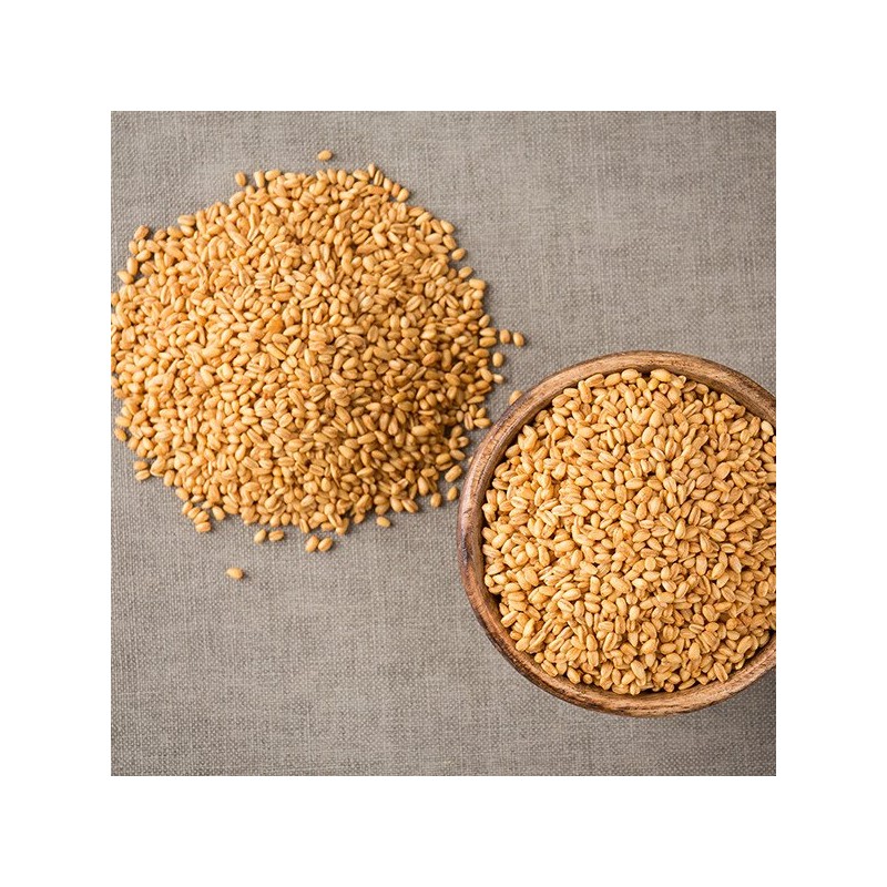 수입산 볶은귀리 200gX2 Imported Roasted Oats 200gX2