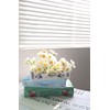 Ligtmor Small Book-Shaped Decorative design Planter, Ceramic for Home Decor,