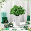 Daifunli 30 Bundles St. Patricks Day Shamrock Plants Decor Artificial