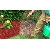 EnviroColor Red Mulch Dye | 32 oz Treats 2400 Ft²,