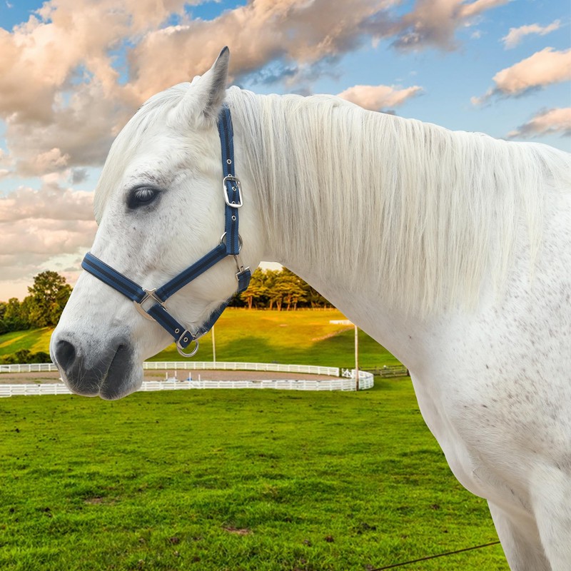 Gallopoff Headcollar for Horses, Thickened Adjustable Headcollar, Horse Halter, Durable