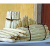 Seeds4planting - Seeds White Asparagus Non GMO Heirloom for Planting
