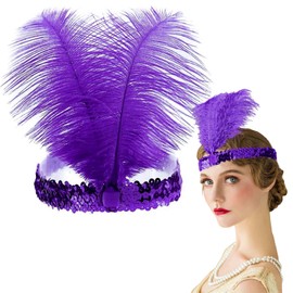 20s Hair Accessories, Feather Hair Accessories, Headpiece, Feathers, Charleston Headpiece, Headband Fancy Dress Women, 20s Flapper Feather Hair Band, Carnival Gifts for Women