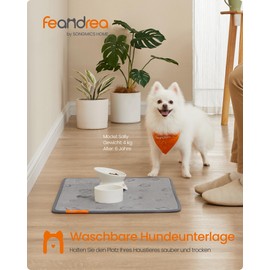 Feandrea Washable Puppy Pads, Set of 2, Reusable Dog Mat, 61 x 46 cm, S, Waterproof, Leak-Proof, Non-Slip, Absorbent for Dogs, Cats, Rabbits, Dove Grey PTD001G01